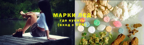 гашик Аркадак