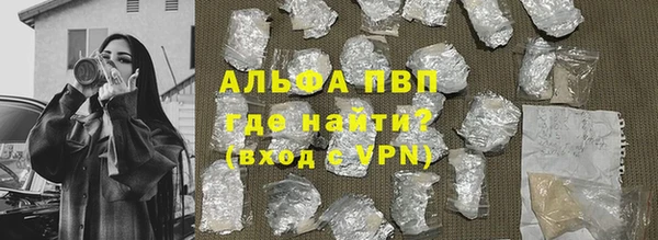 гашик Аркадак